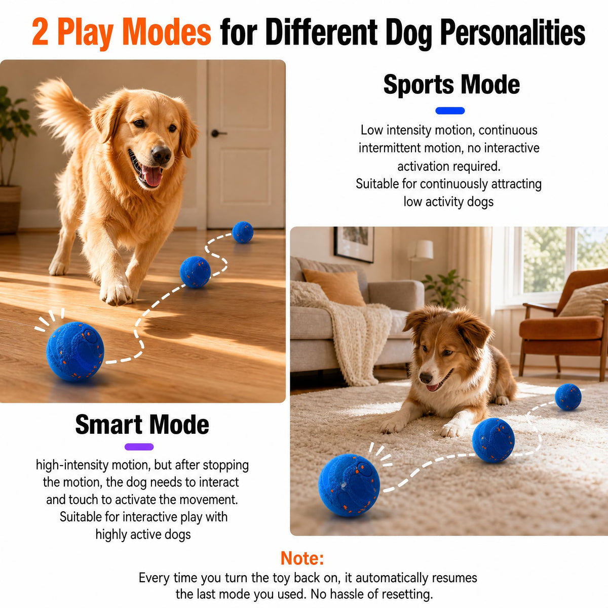 Interactive Ball, Automatic Interactive Dog Ball