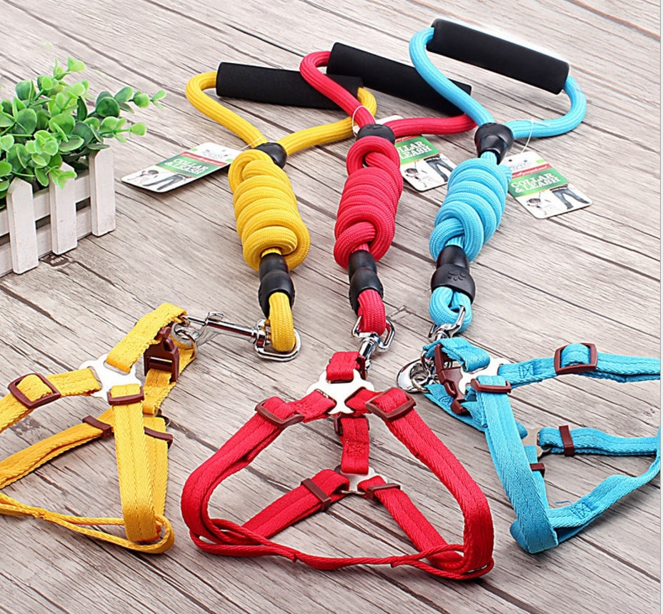 Dog Collar & Harness Rope