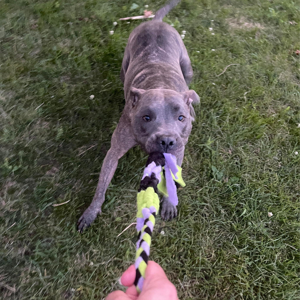 Interactive Tug & Treat-Dispenser Toy for Dogs