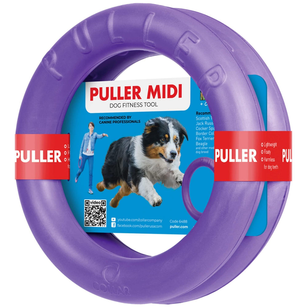 Ring Fetch Toy  2 Rings