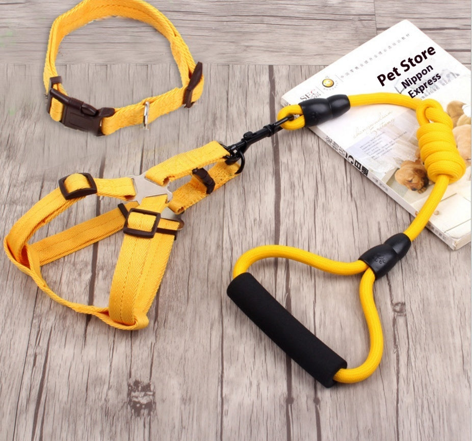 Dog Collar & Harness Rope