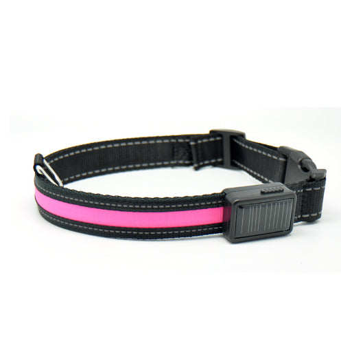 Fluorescent Dog Safety Collar