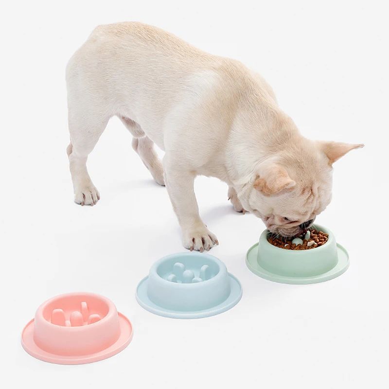 Slow Eating Feeder