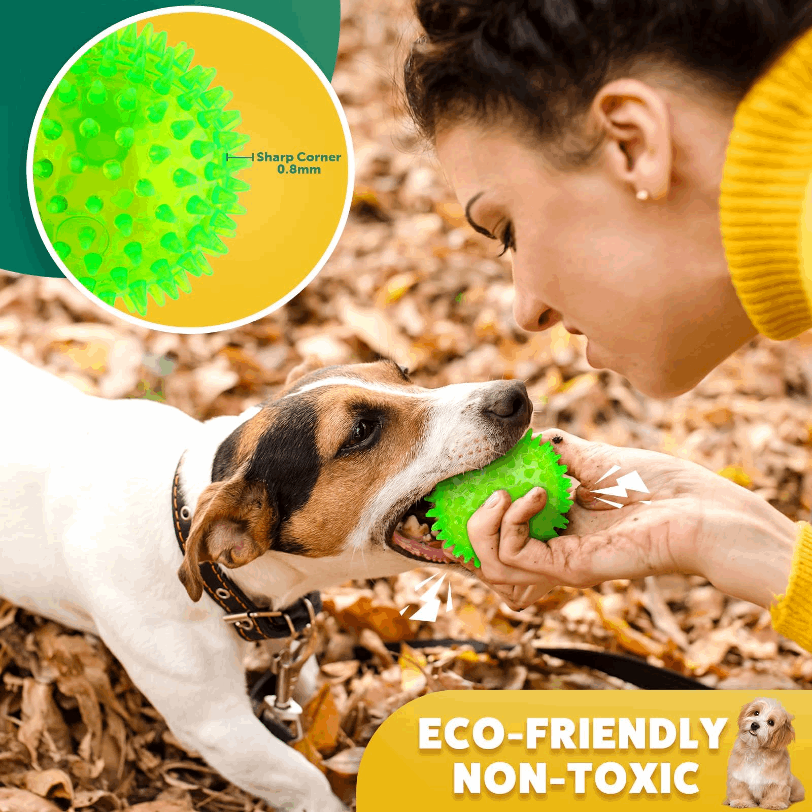 2.5” Squeaky Interactive Dog Balls for Puppy Teething
