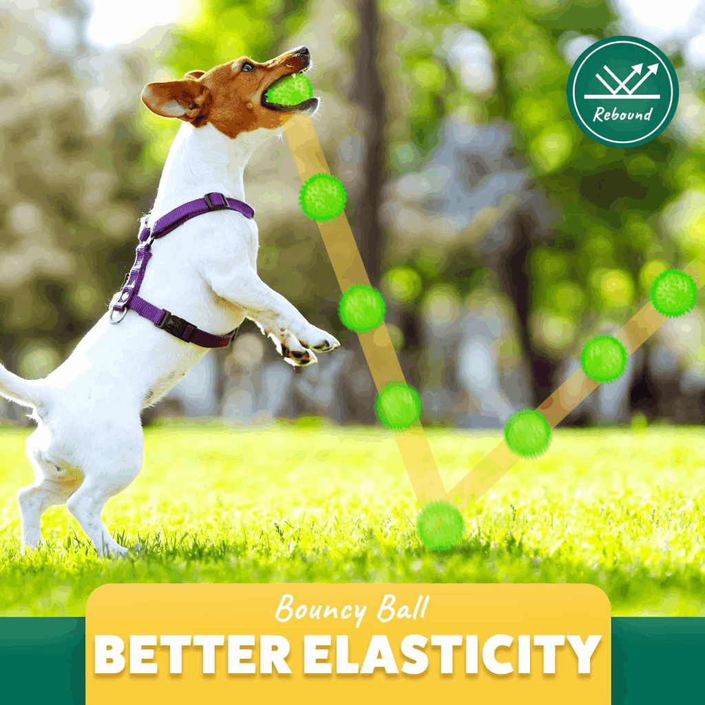 2.5” Squeaky Interactive Dog Balls for Puppy Teething
