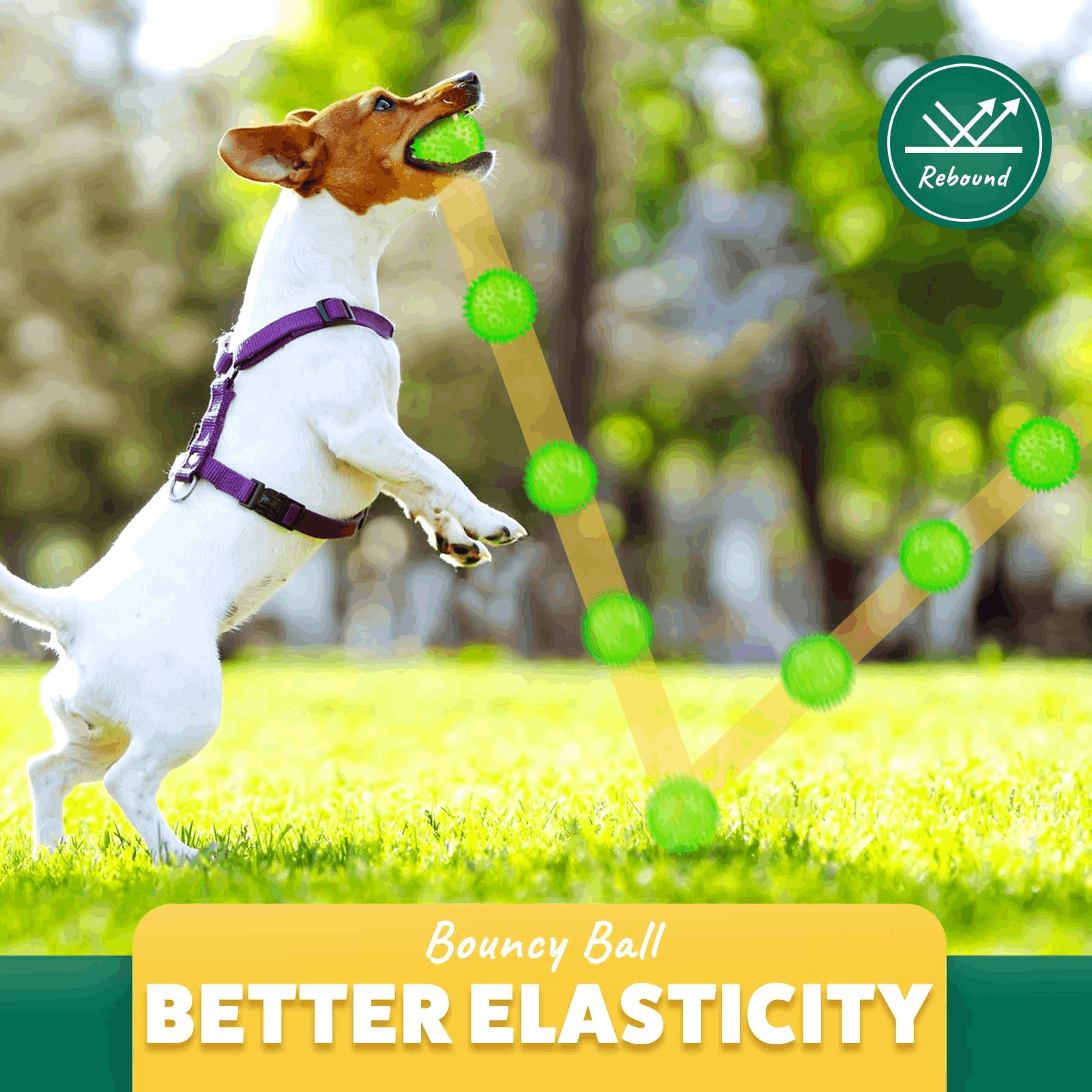 2.5” Squeaky Interactive Dog Balls for Puppy Teething