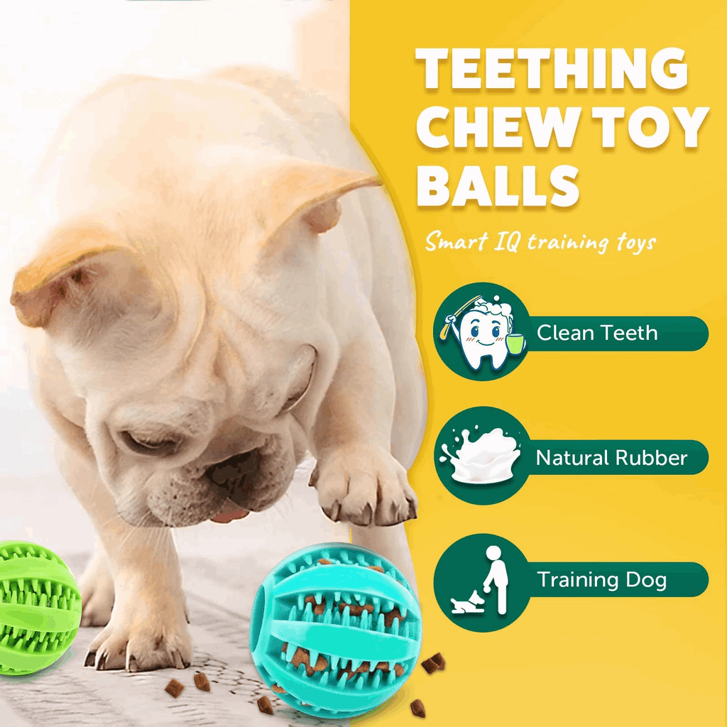 2.5” Squeaky Interactive Dog Balls for Puppy Teething