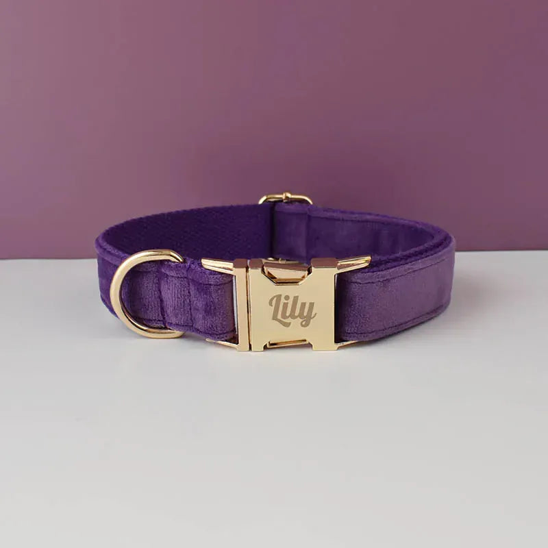 Velvet Purple Harness Set