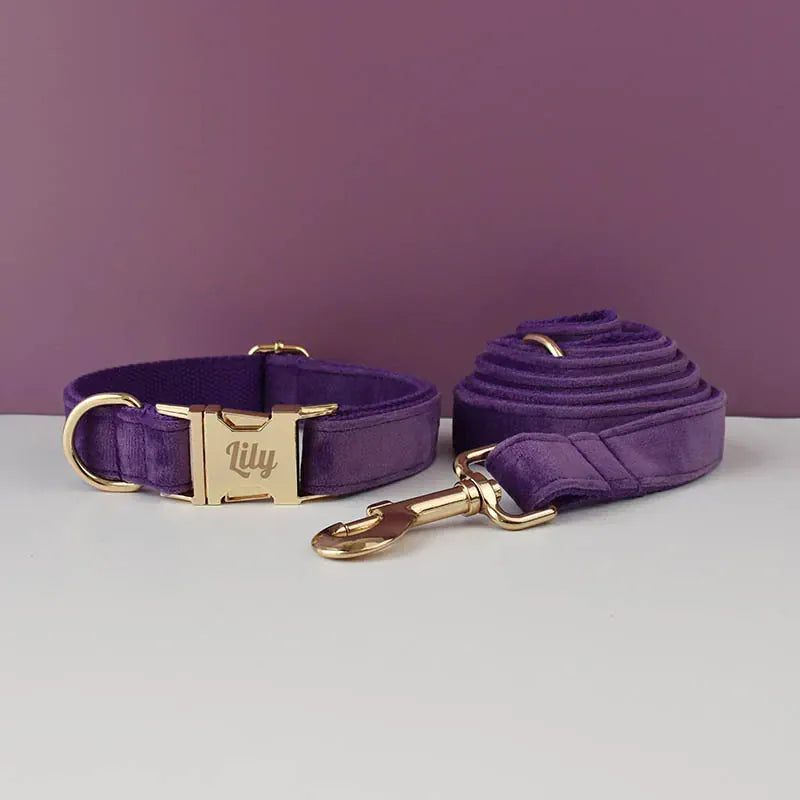 Velvet Purple Harness Set