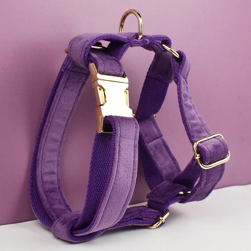 Velvet Purple Harness Set
