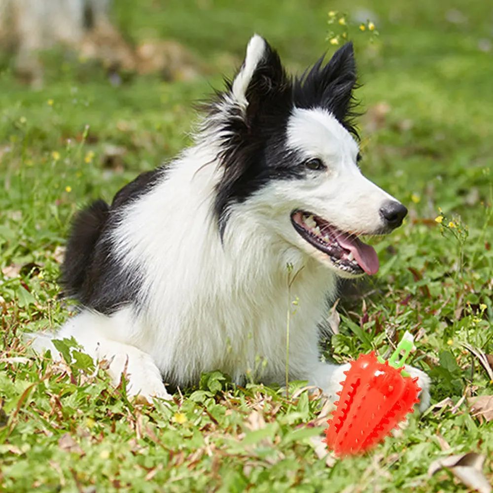 Dog Teething Chili Chewers Toy