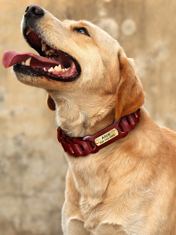 Braided Leather Medium Large Dog Collar