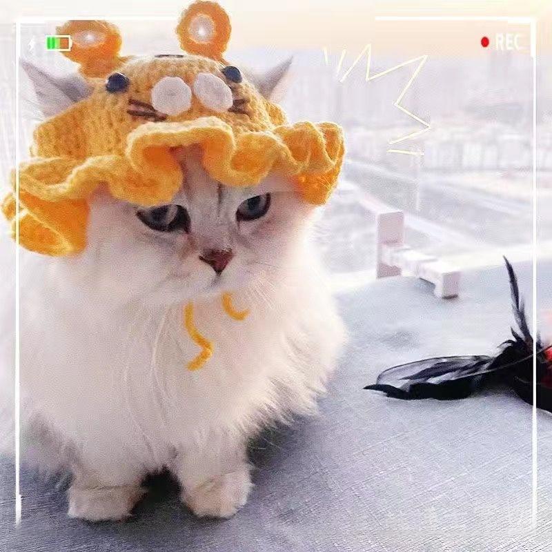 Pet Hat Cute 3D Knitted Wool Bonnet