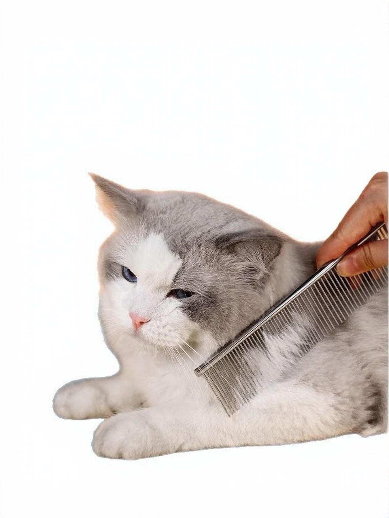 Stainless Steel Pet Grooming Comb
