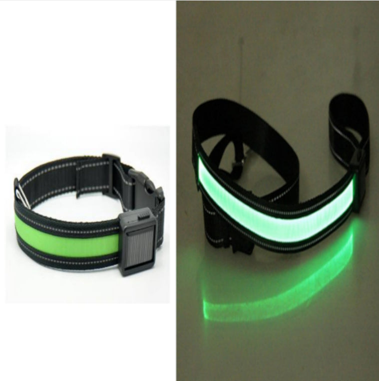 Fluorescent Dog Safety Collar