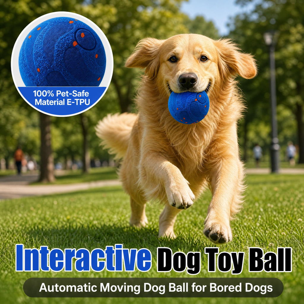 Interactive Ball, Automatic Interactive Dog Ball