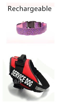LED Safety Collar Adjustable Nylon Leopard