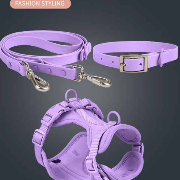 Pet Collar & Traction Rope