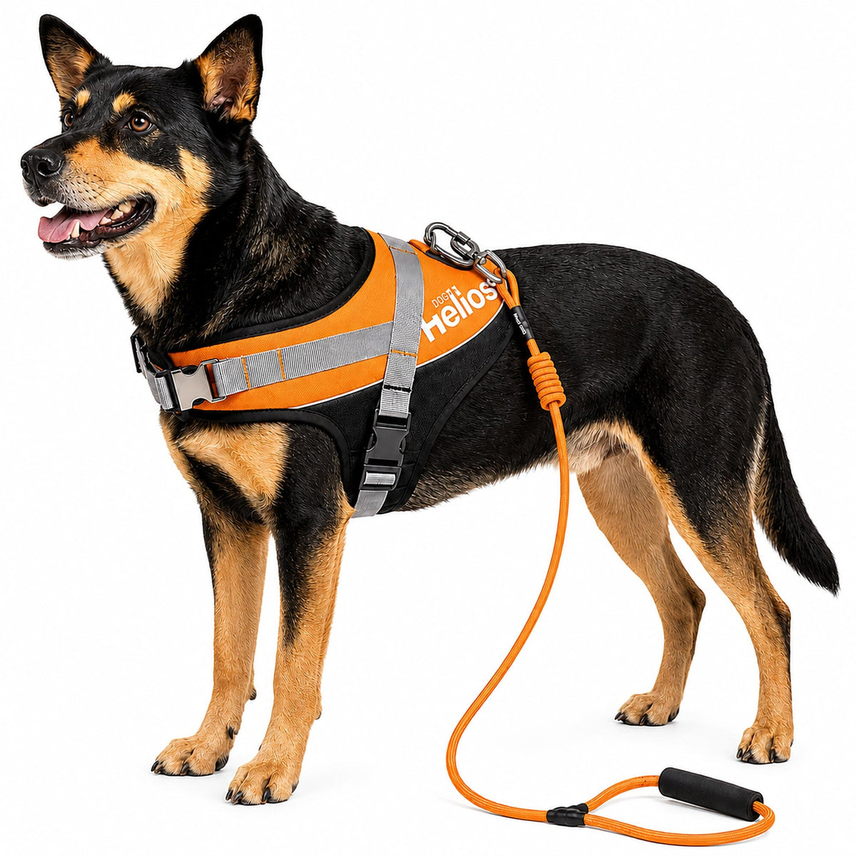 'Bark-Mudder' 2-in-1 Reflective and Adjustable Sporty Dog Harness and Leash