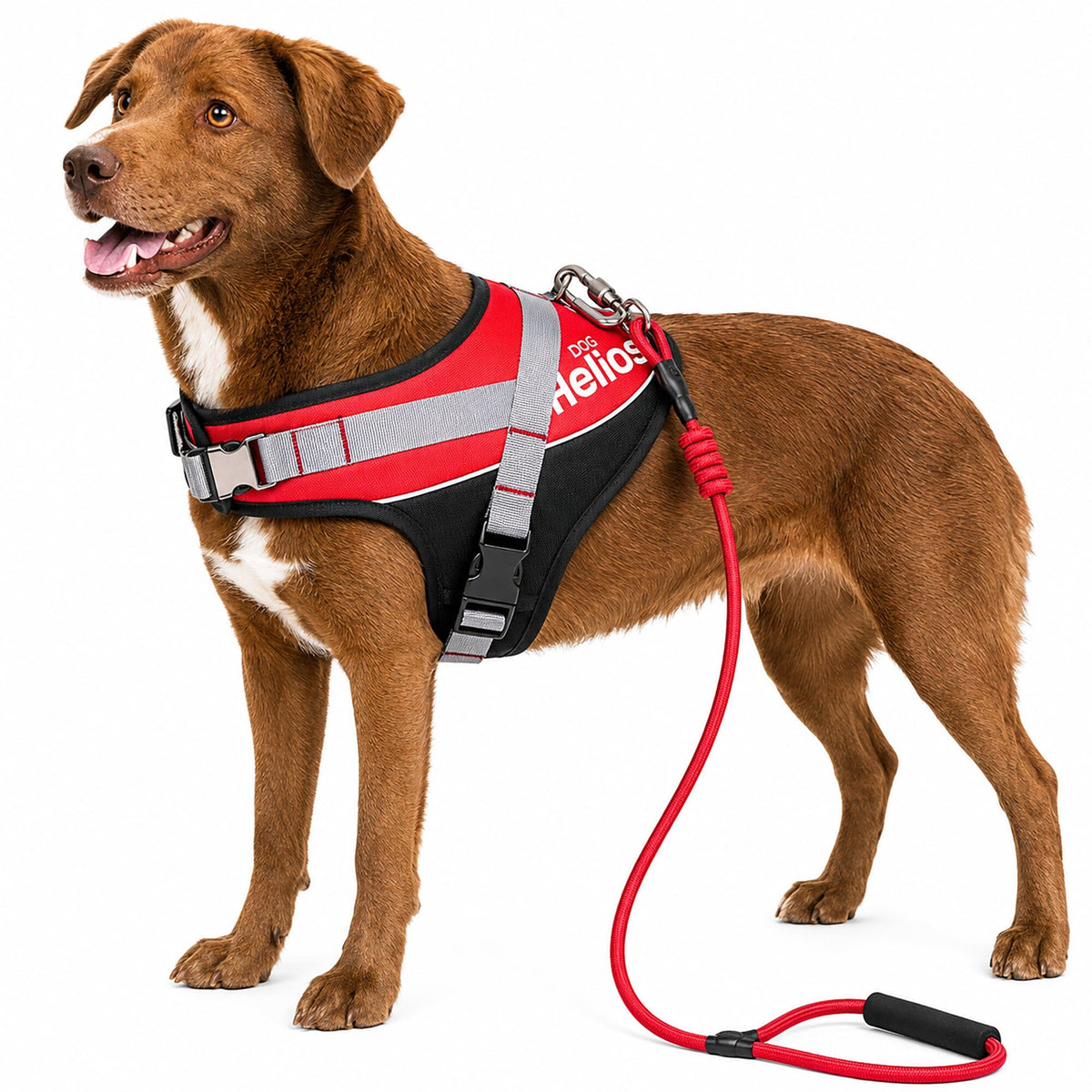 'Bark-Mudder' 2-in-1 Reflective and Adjustable Sporty Dog Harness and Leash