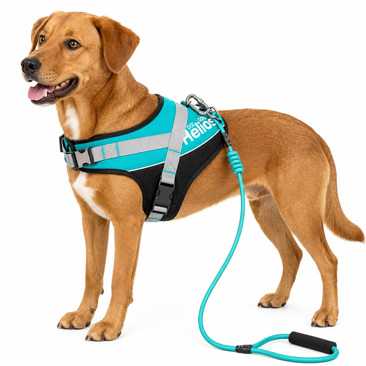 'Bark-Mudder' 2-in-1 Reflective and Adjustable Sporty Dog Harness and Leash