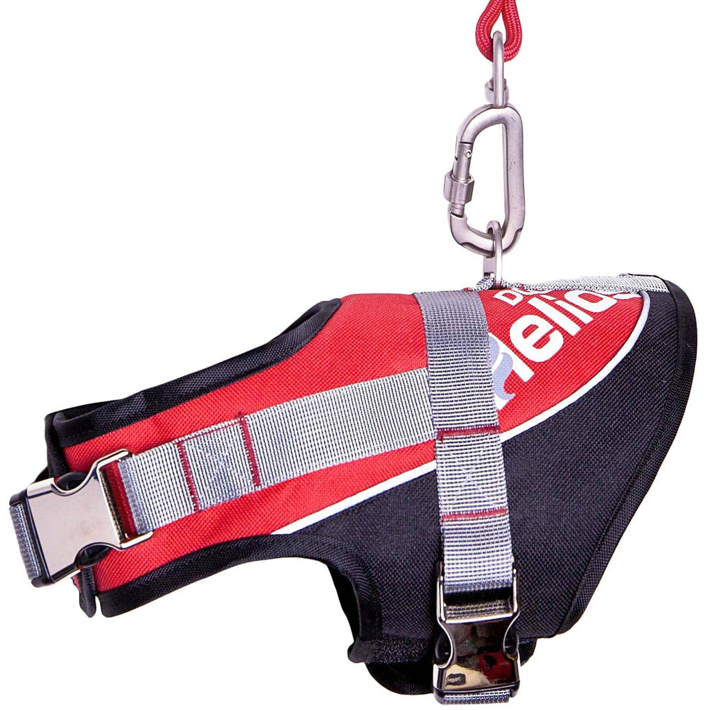 'Bark-Mudder' 2-in-1 Reflective and Adjustable Sporty Dog Harness and Leash