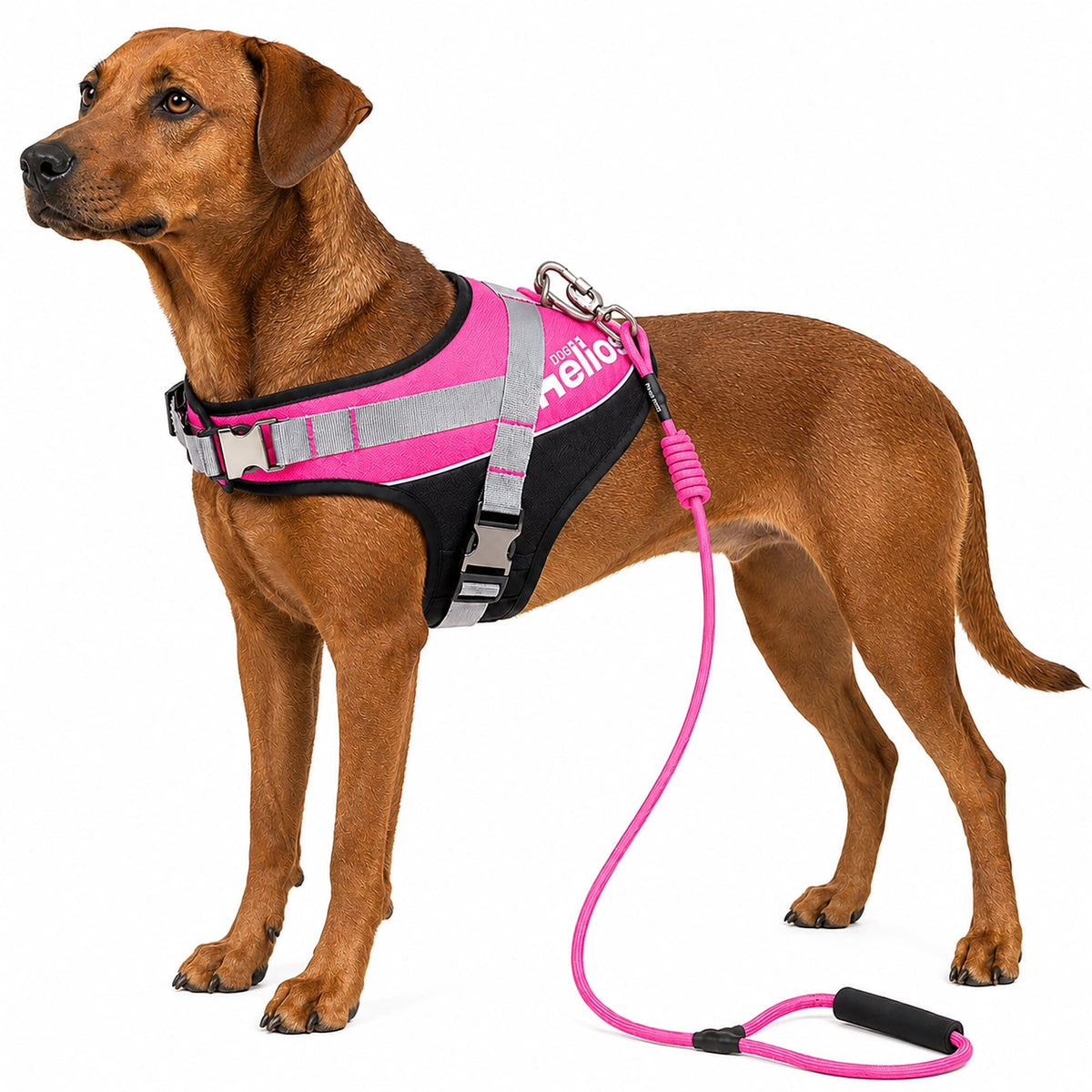 'Bark-Mudder' 2-in-1 Reflective and Adjustable Sporty Dog Harness and Leash