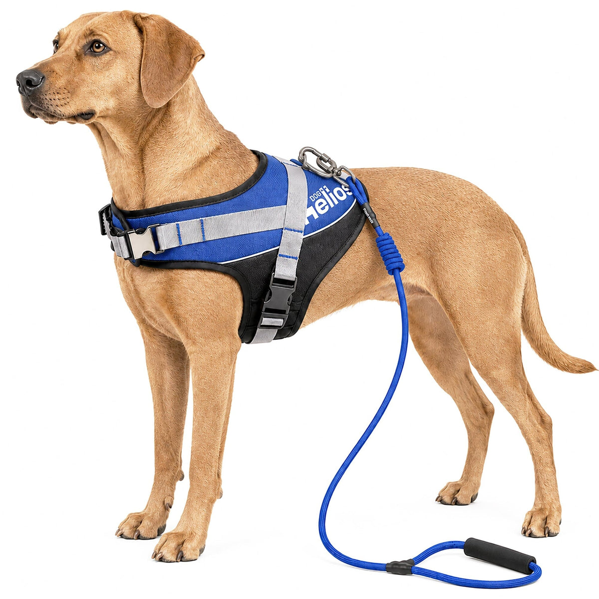 'Bark-Mudder' 2-in-1 Reflective and Adjustable Sporty Dog Harness and Leash