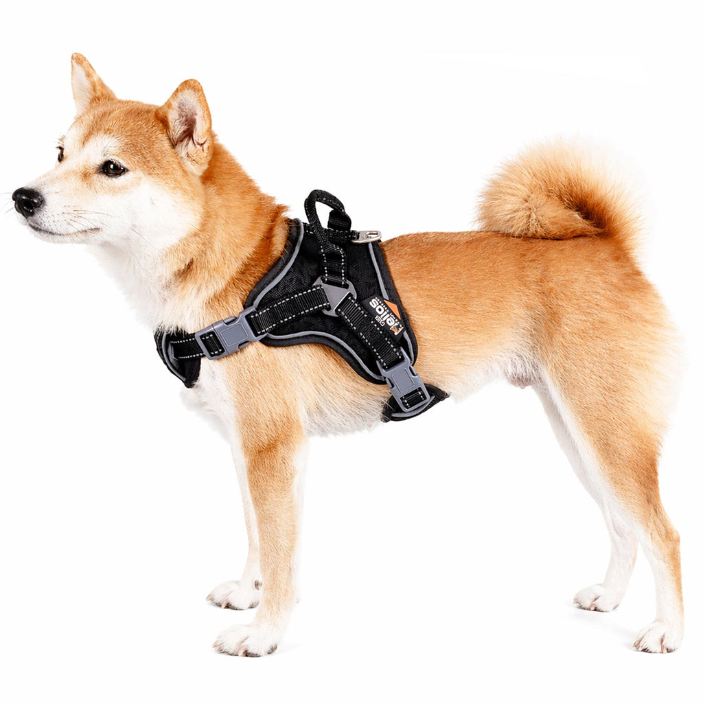'Scorpion' Sporty High-Performance Free-Range Dog Harness