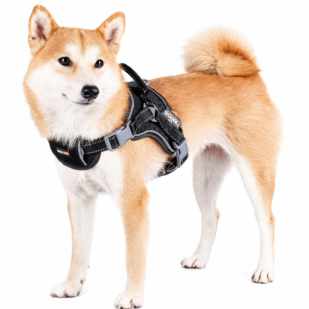 'Scorpion' Sporty High-Performance Free-Range Dog Harness