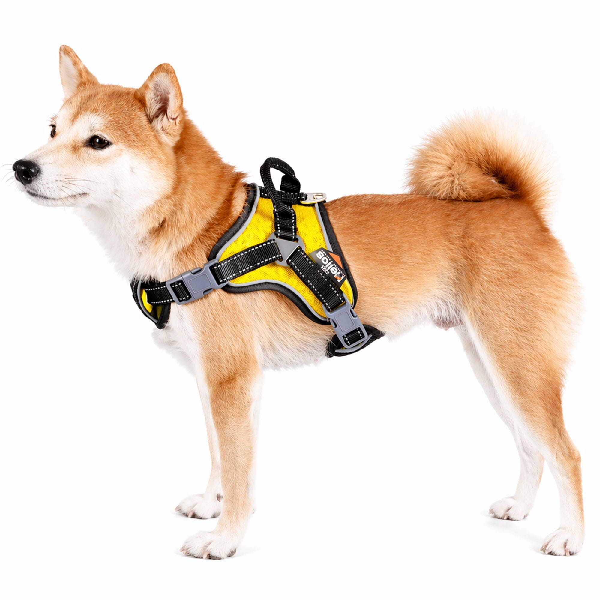 'Scorpion' Sporty High-Performance Free-Range Dog Harness