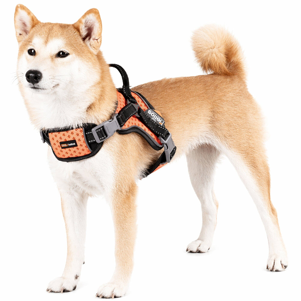 'Scorpion' Sporty High-Performance Free-Range Dog Harness