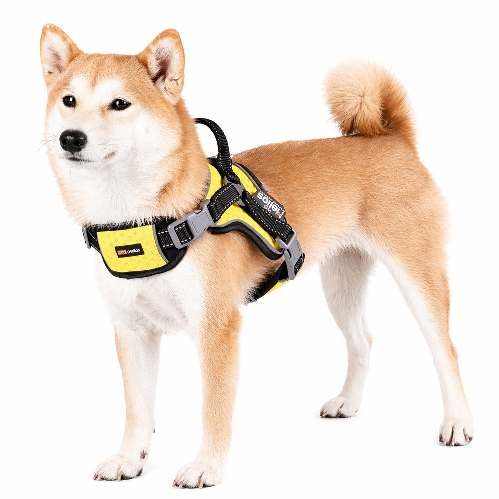 'Scorpion' Sporty High-Performance Free-Range Dog Harness