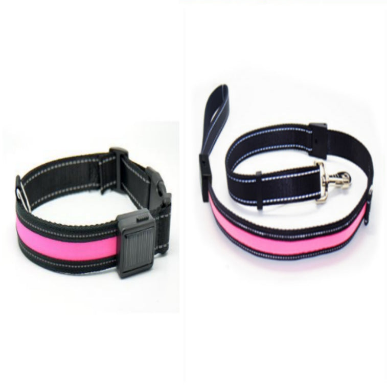 Fluorescent Dog Safety Collar