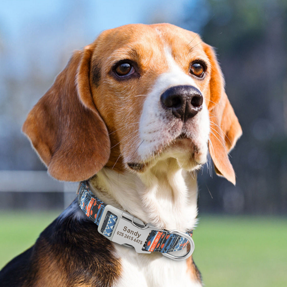 Adjustable Nylon Pet Collar, Personalized ID