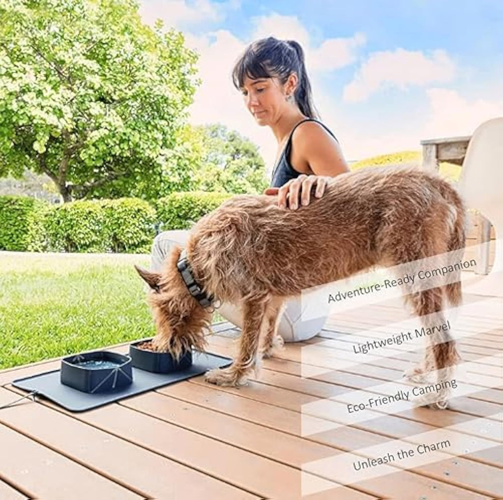 Portable Pet Feeder Silicone Bowls