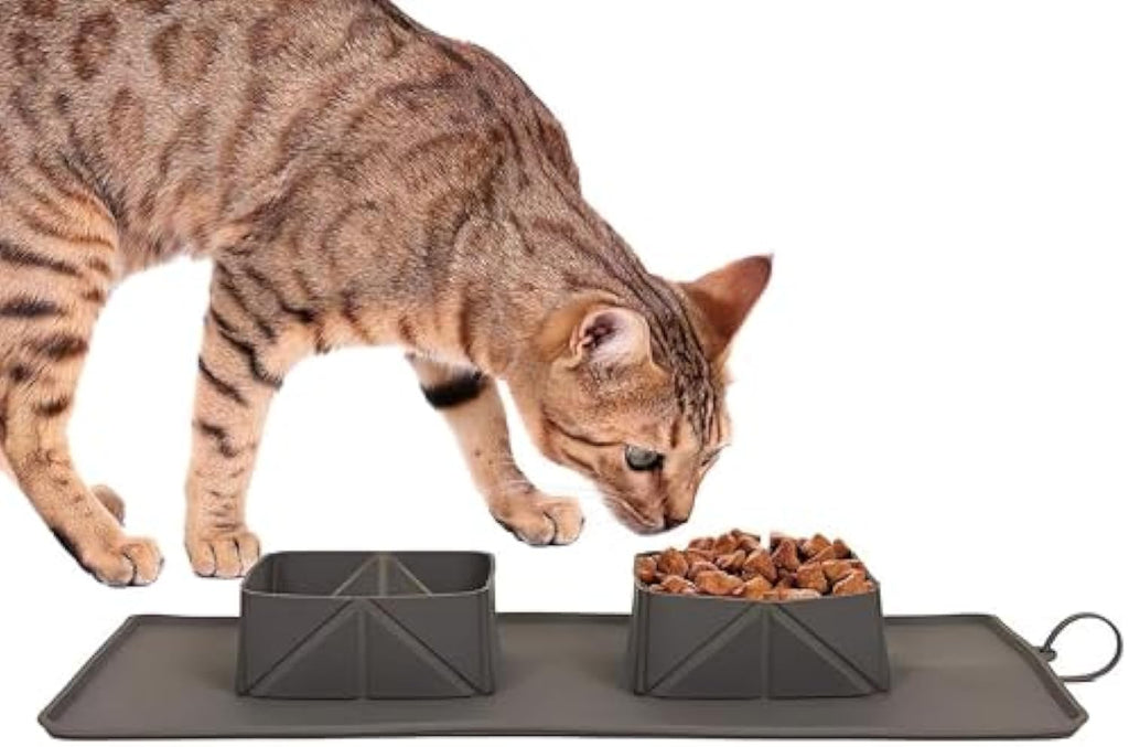 Portable Pet Feeder Silicone Bowls
