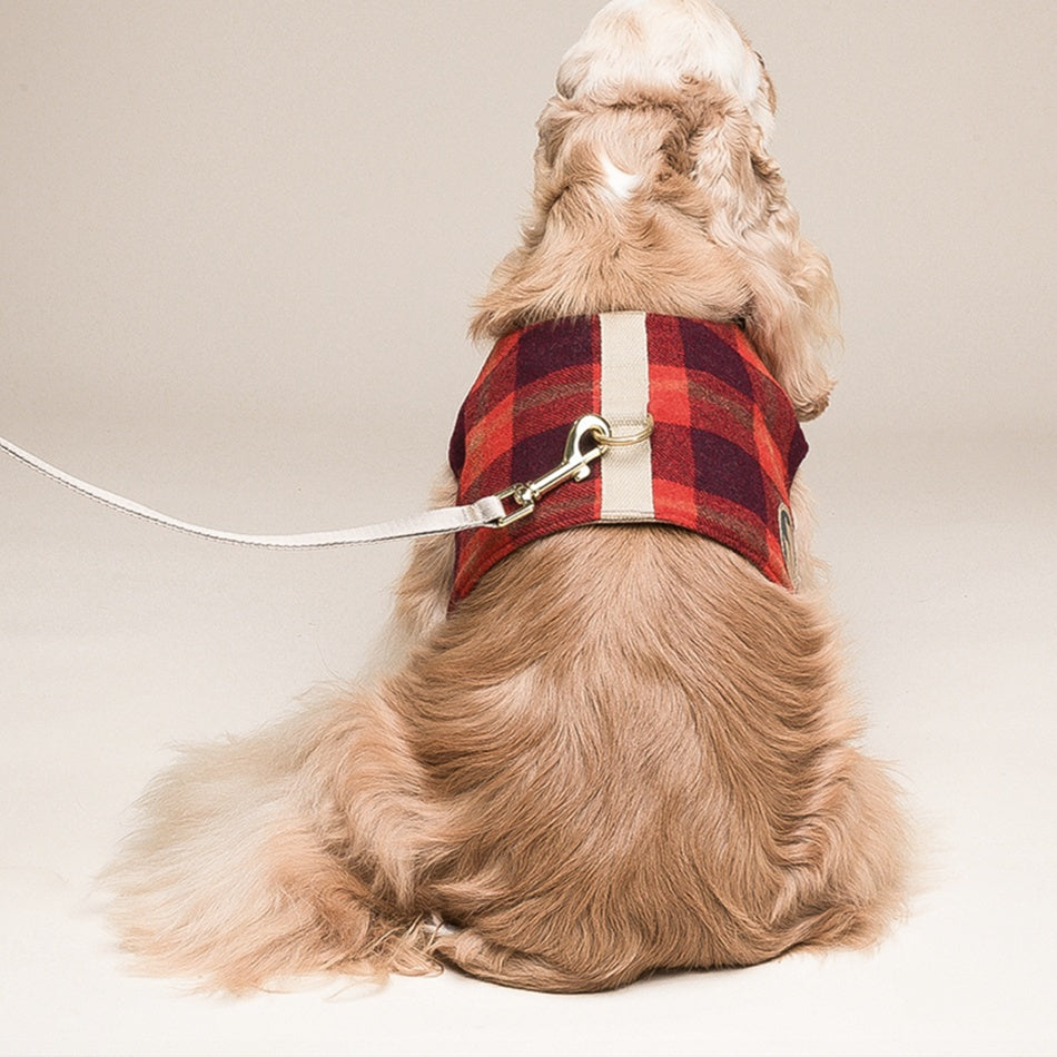 Dog Harness