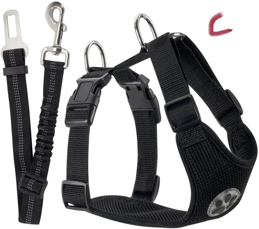 Amazon's Best-Selling Dog Leash