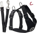 Amazon's Best-Selling Dog Leash
