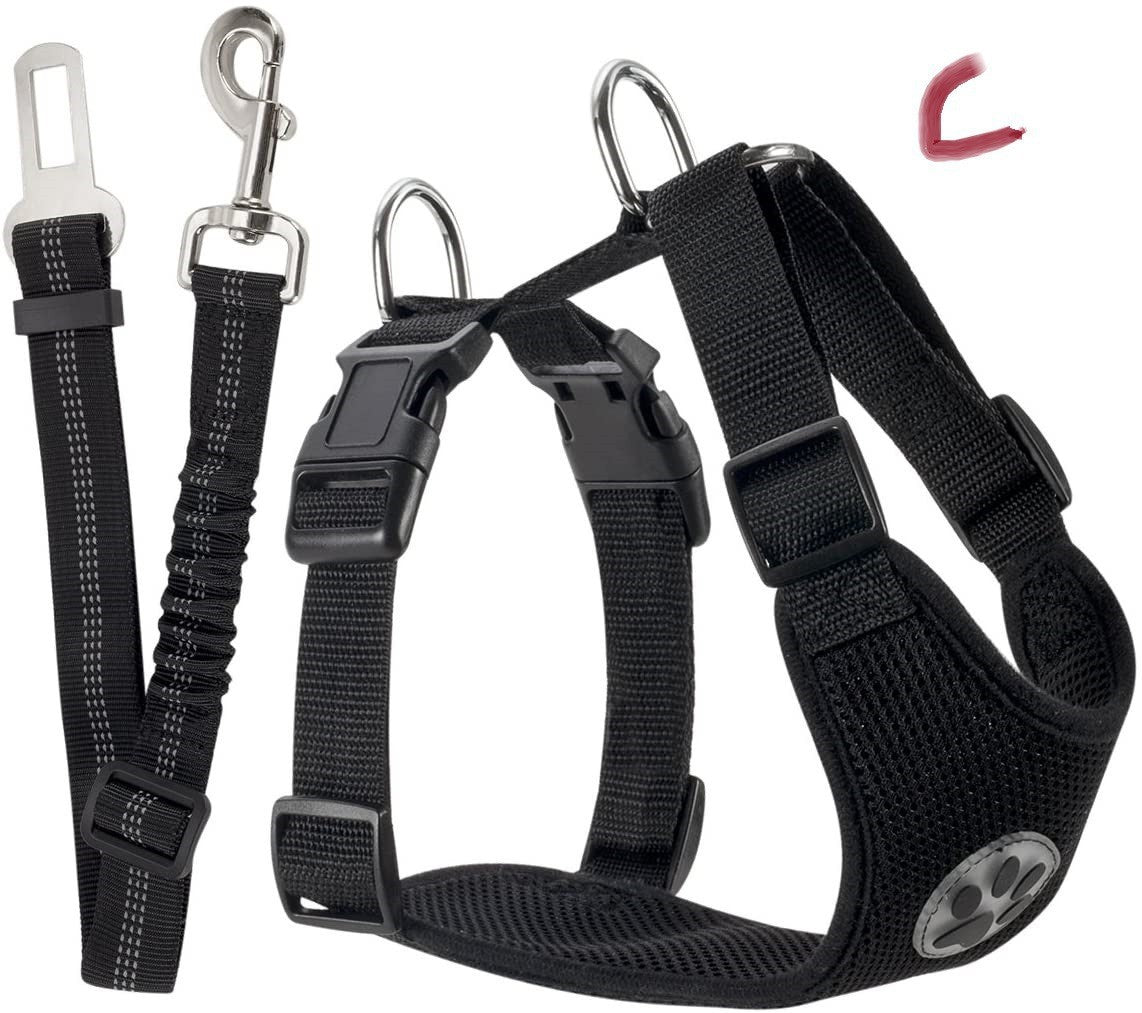 Amazon's Best-Selling Dog Leash
