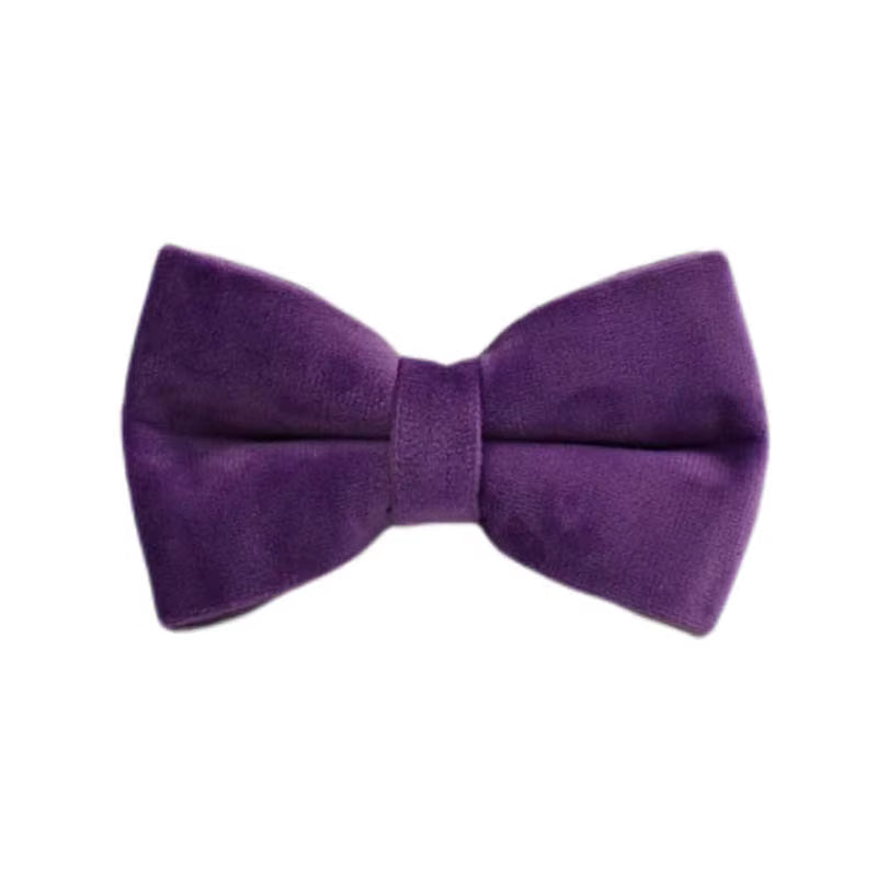 Velvet Purple Harness Set