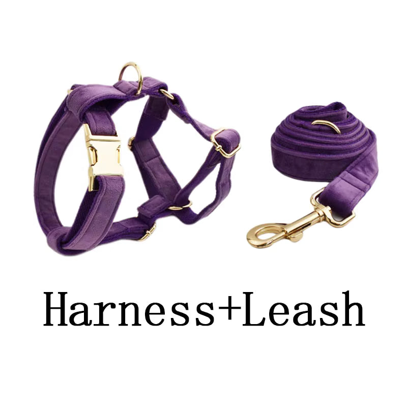 Velvet Purple Harness Set