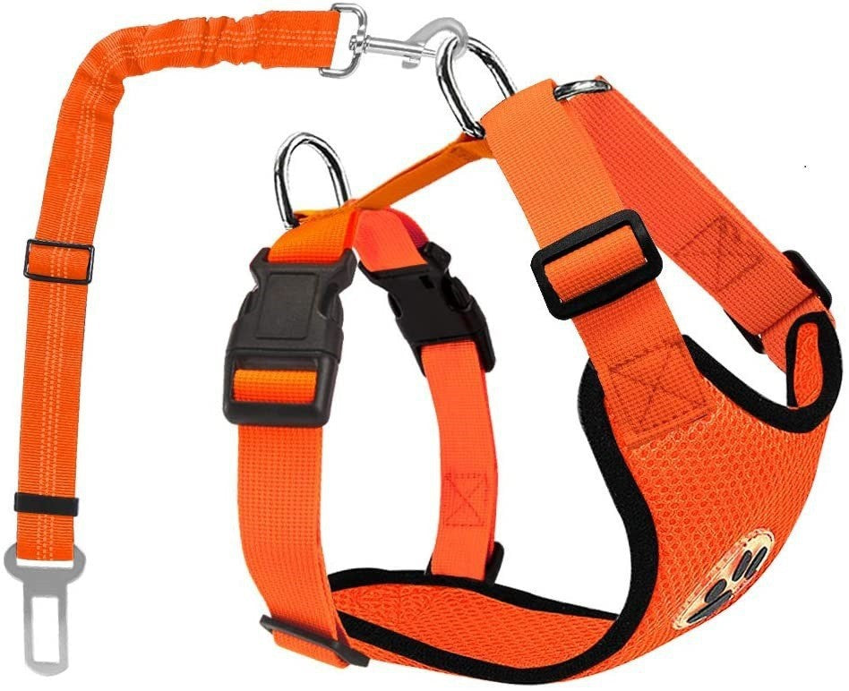 Amazon's Best-Selling Dog Leash