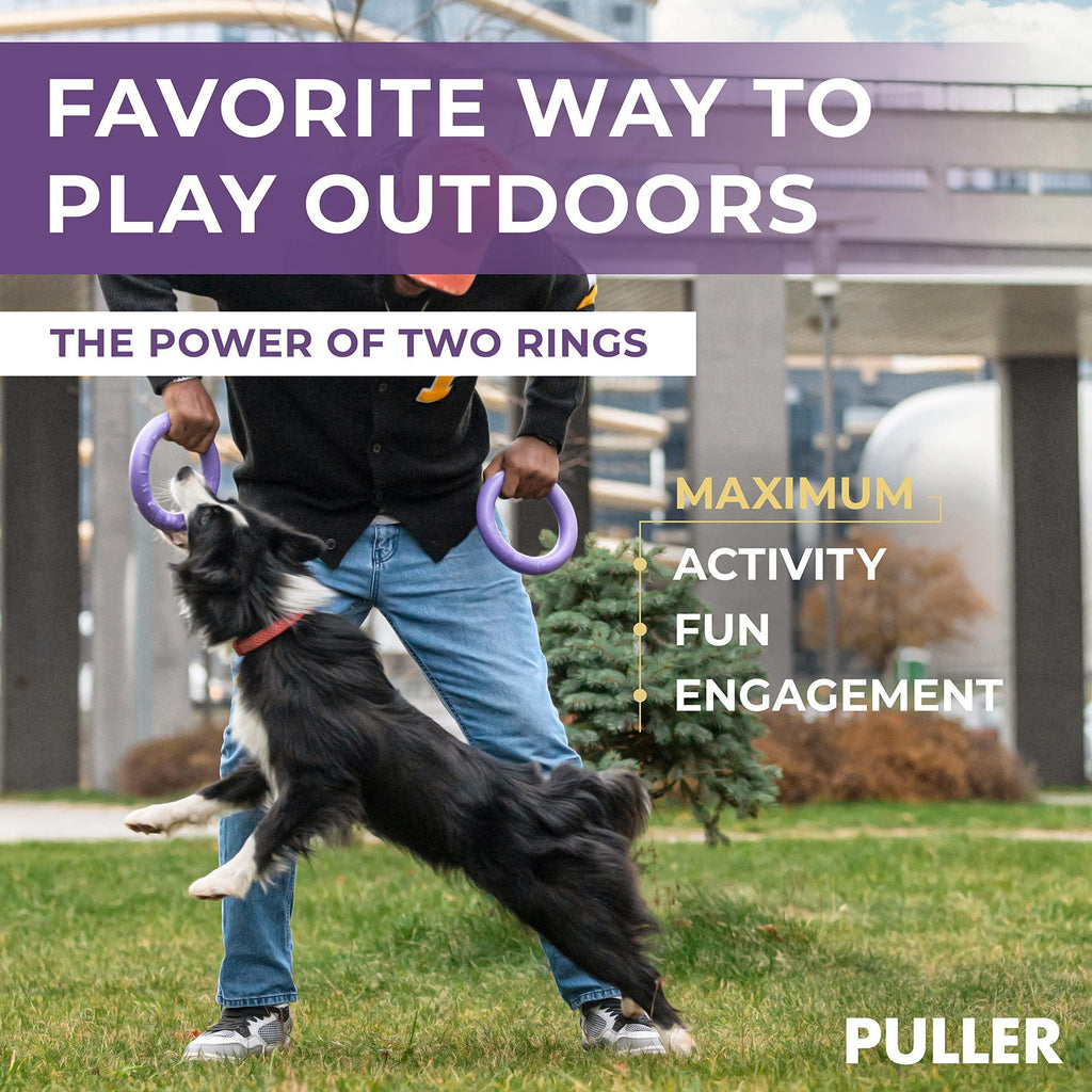 Ring Fetch Toy  2 Rings