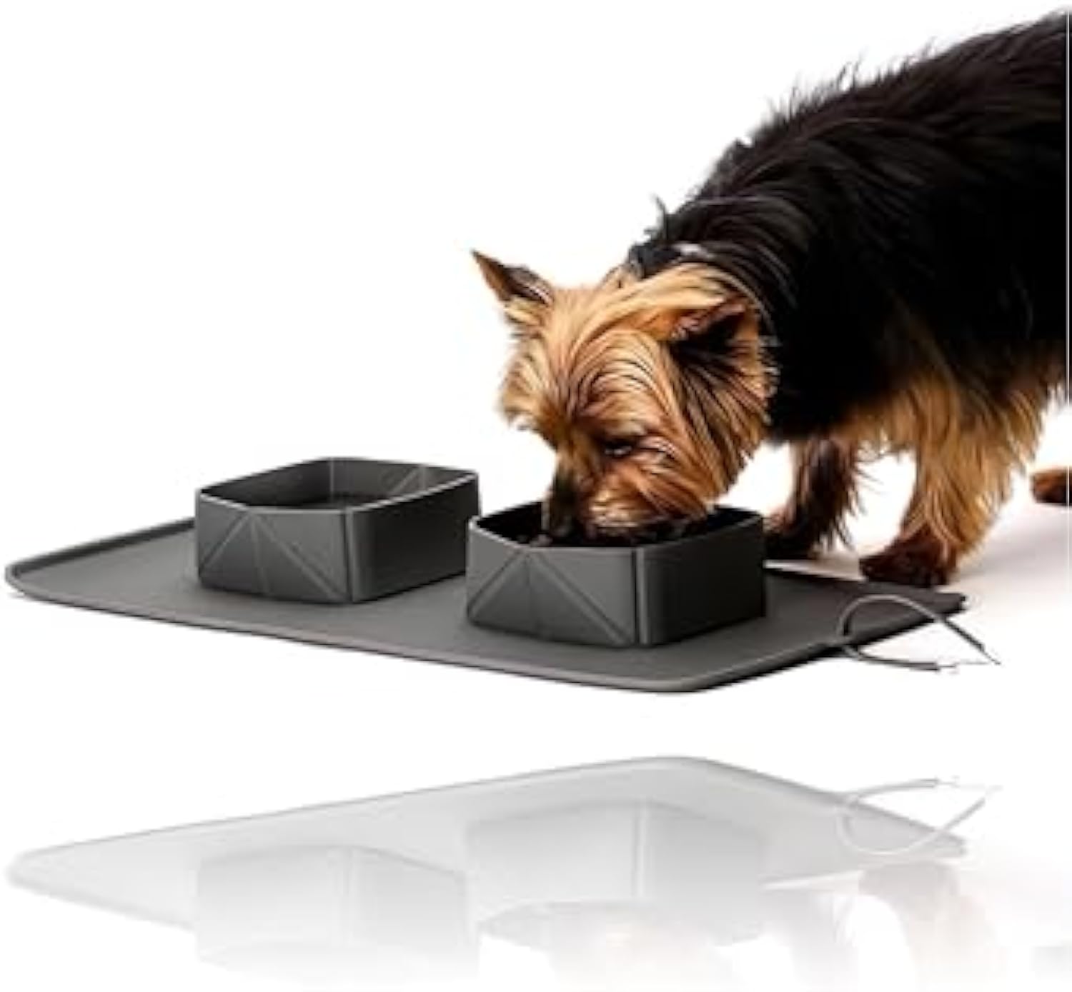 Portable Pet Feeder Silicone Bowls