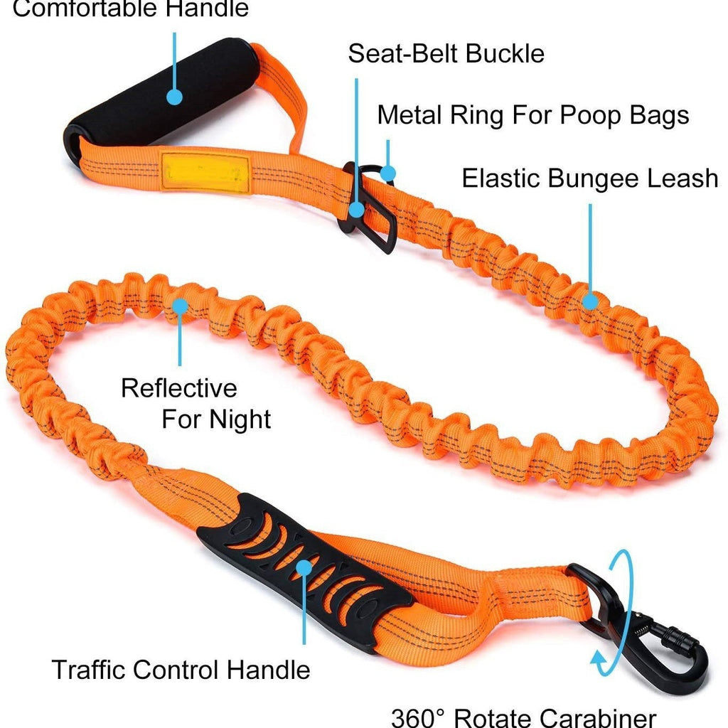 Amazon's Best-Selling Dog Leash