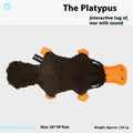 Platypus Simulation Sound Plush Toys