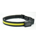 Fluorescent Dog Safety Collar