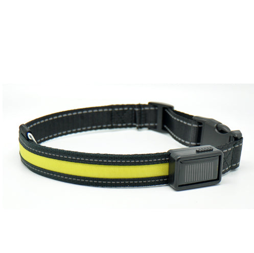 Fluorescent Dog Safety Collar